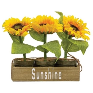 *3/Set Potted Sunflowers in Wooden Crate