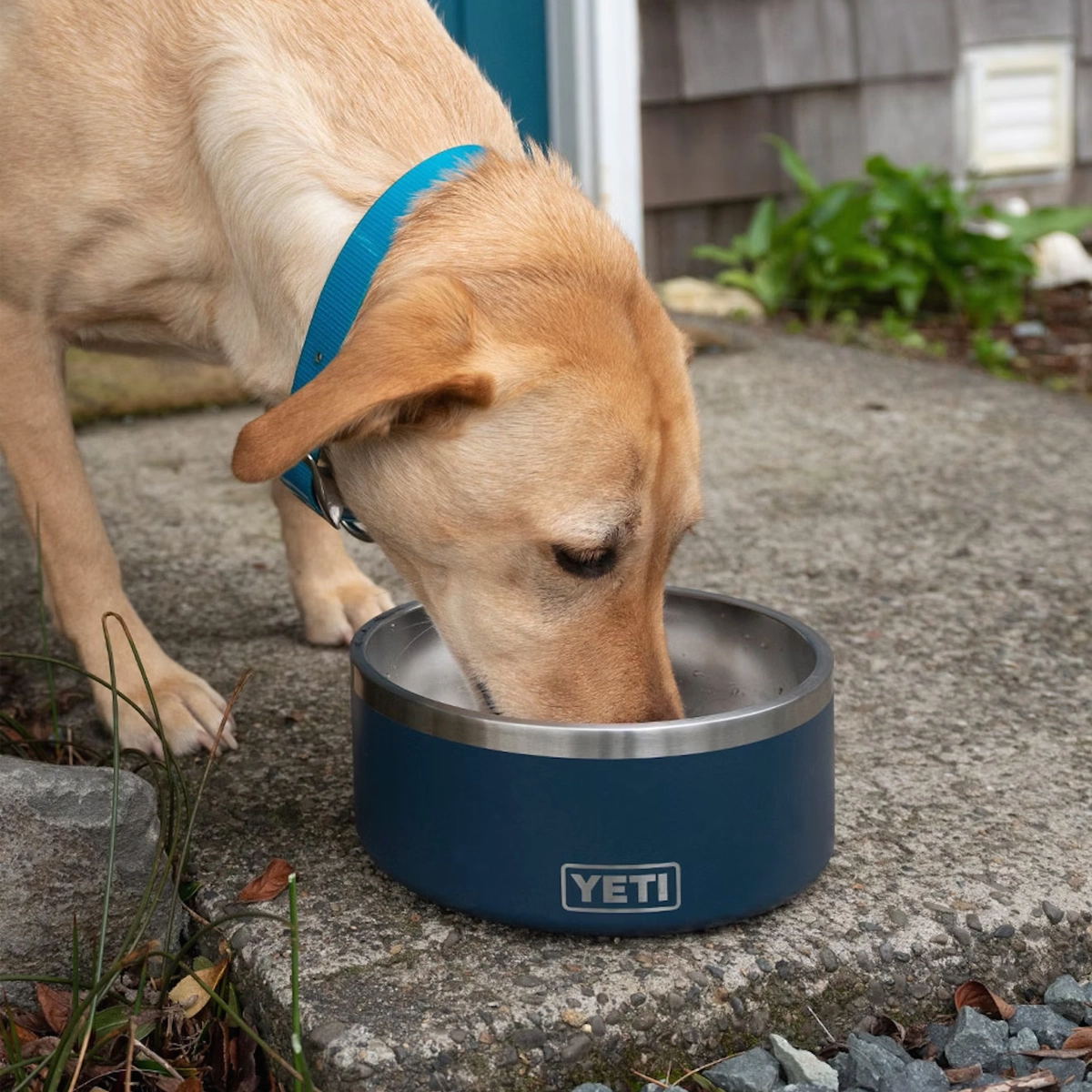 Boomer 8 Dog Bowl