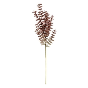 *Burgundy Fall Ombre Eucalyptus Leaf Spray