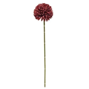 *Burgundy Pompom Stem