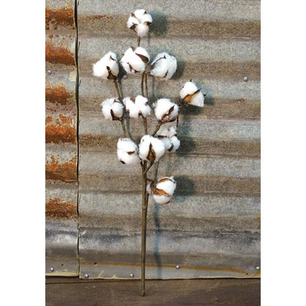 *Country Cotton Ball Spray 20"