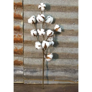 *Country Cotton Ball Spray 20"
