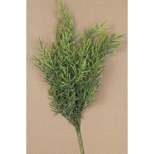 *Dill Leaves Bush 15"