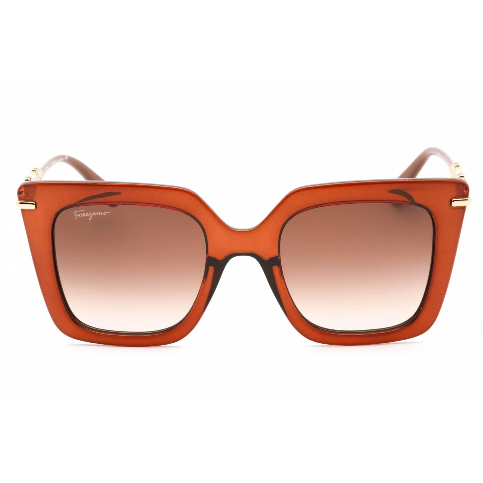 Salvatore Ferragamo Women's Sunglasses - Transparent Brown Acetate Frame | SF1041S 232